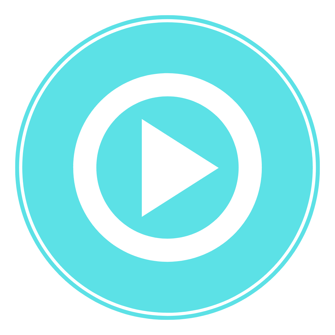 Assista Assista